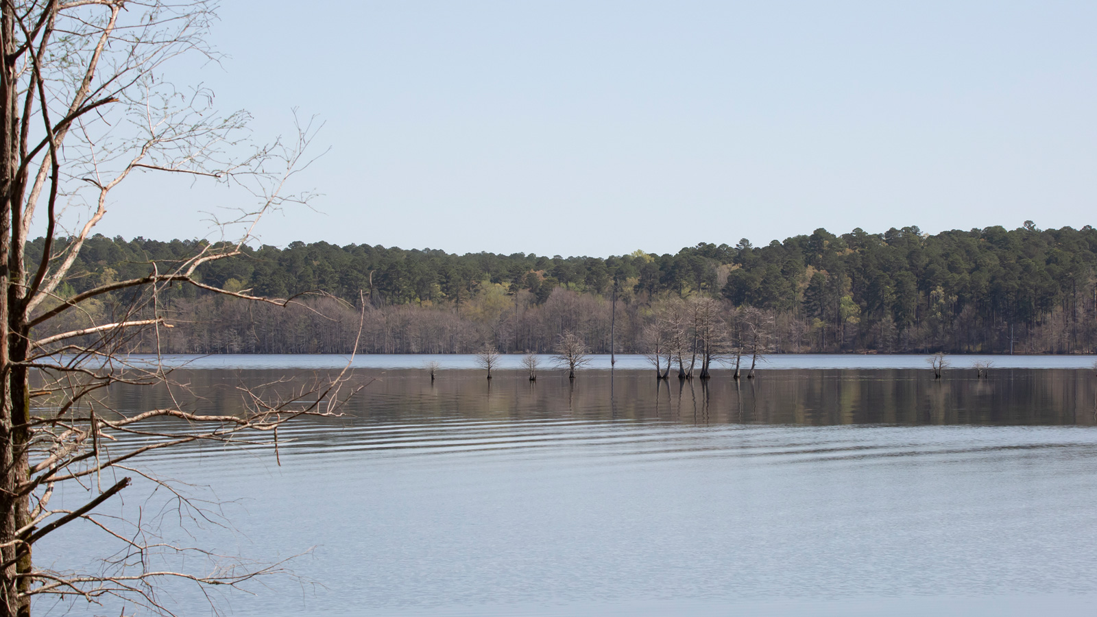 Kisatchie National Forest Caney District